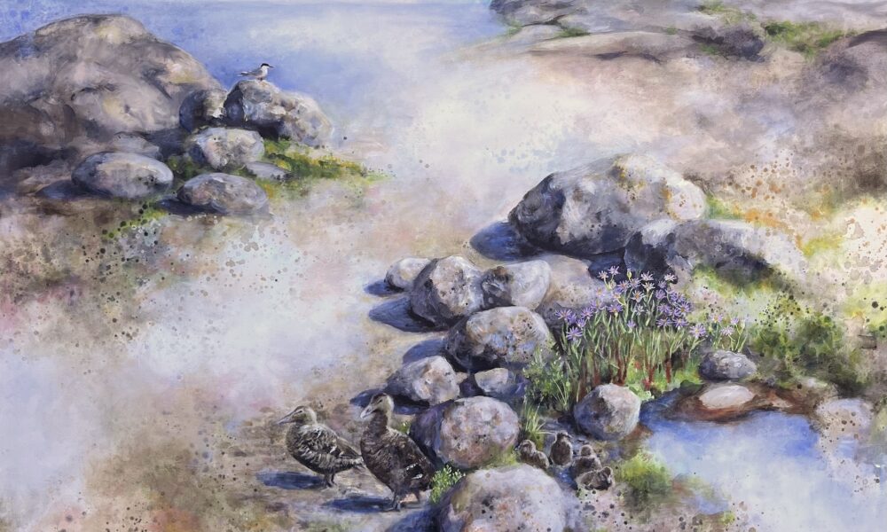 Saaristoluonnon tutkimusmatkoja, Auran Gallerian SUMMER FAIR II -ryhmänäyttelyssä 10.7.-8.8.2026